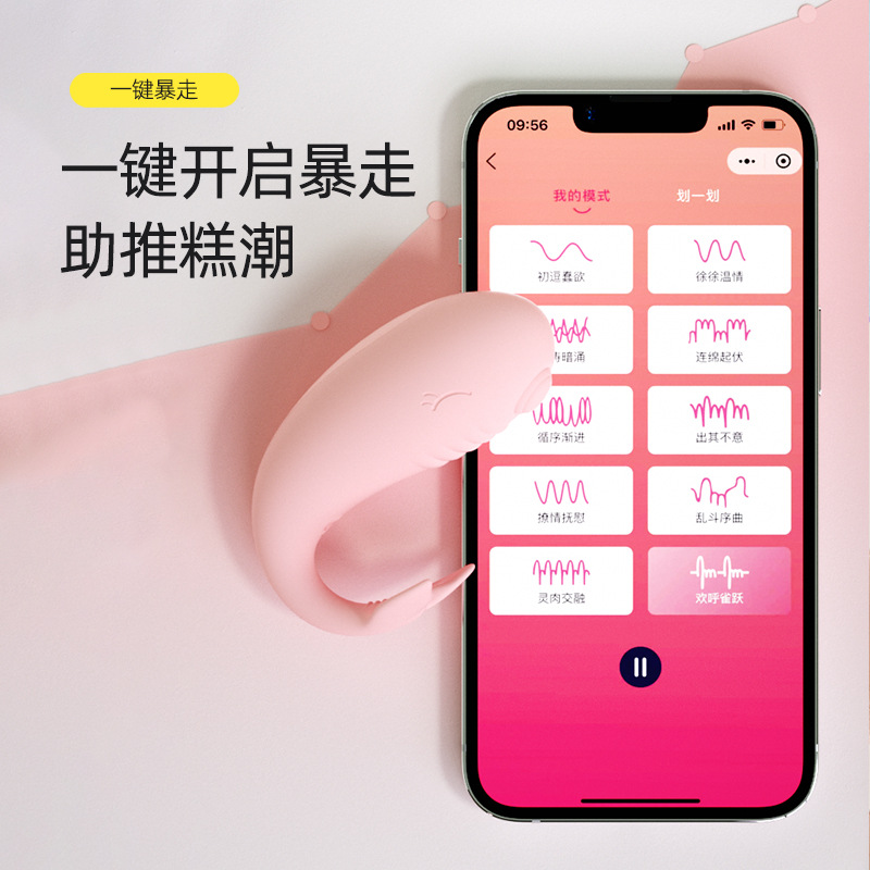 스텔스업 여성용 앱 원격 다주파수 진동 자위기