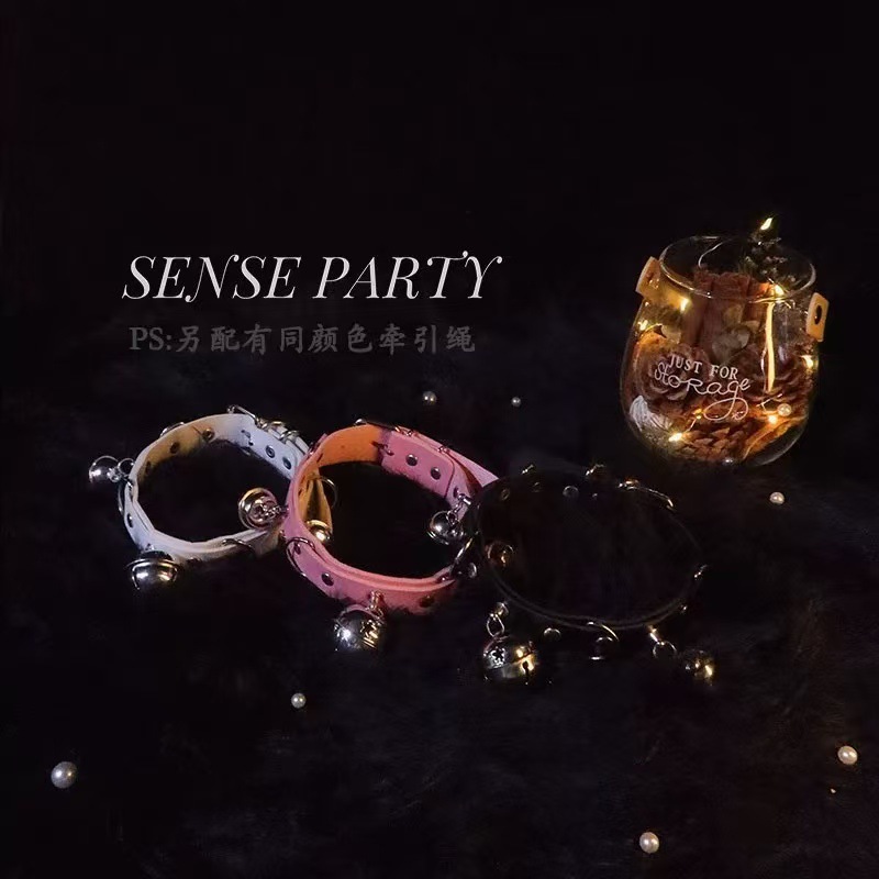 섹시한 의복 섹시 섹시한 잠옷 속옷을 입은 여성