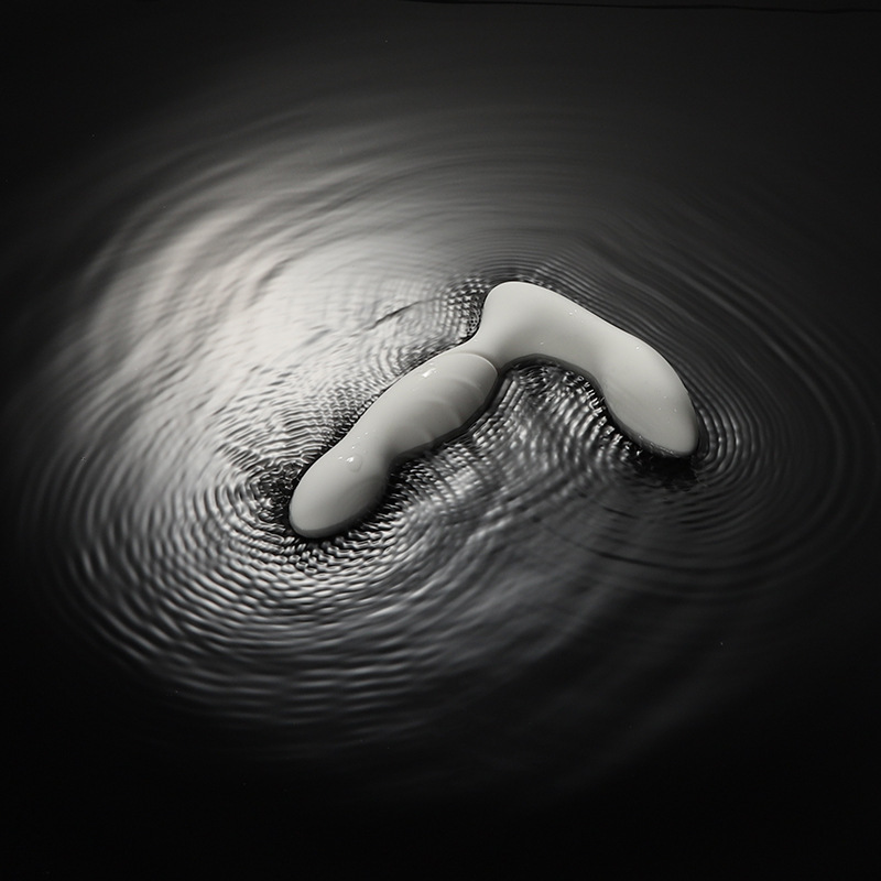 전립선 안마기 작은 프로그램 제어 남성용 자위기 후정 항문 밀어 넣기 성용품