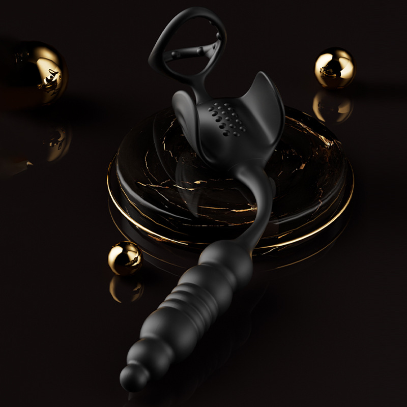 남성용 정맥 콤비네이션 항문 플러그 전립선 안마기 원격조종 자위 기구 성인 희롱하는 완구