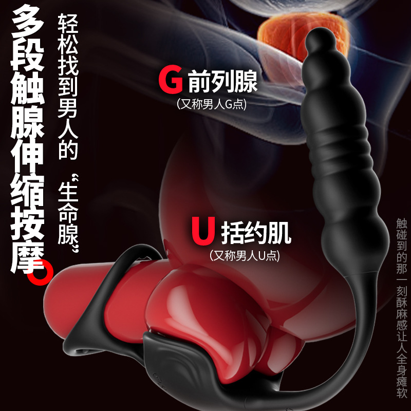 남성용 정맥 콤비네이션 항문 플러그 전립선 안마기 원격조종 자위 기구 성인 희롱하는 완구