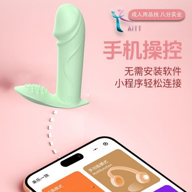 계란튀기 앱 원격제어 외출, 진동 강진 완구 무음 여성용 자위기 성인기품 착용
