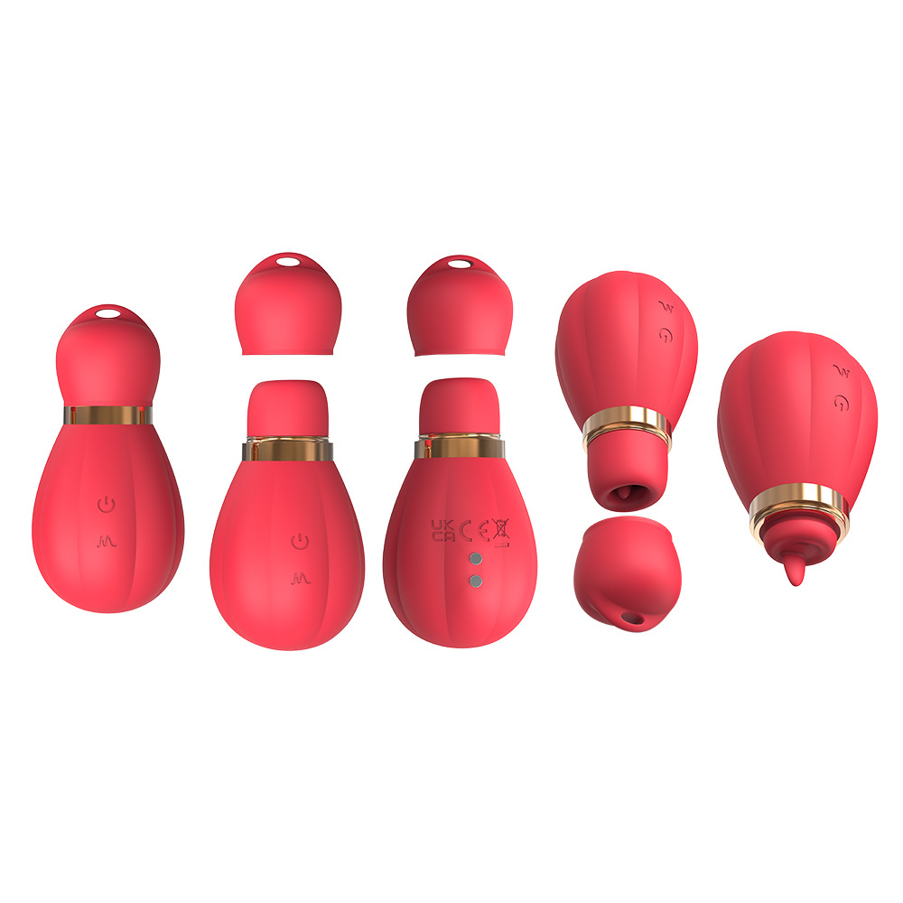 빨아들이는 진동기 2개 여성 자위 성인용품 섹스 토이 휴대용 안마봉