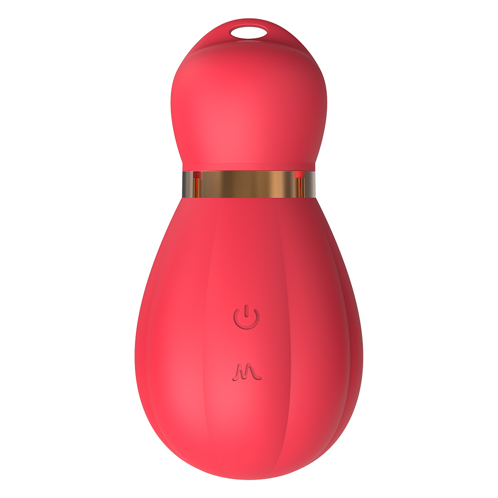 빨아들이는 진동기 2개 여성 자위 성인용품 섹스 토이 휴대용 안마봉