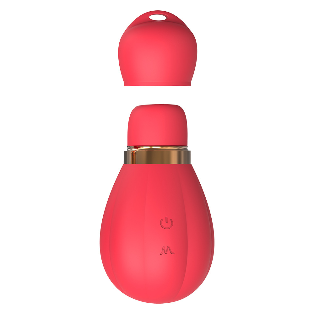 빨아들이는 진동기 2개 여성 자위 성인용품 섹스 토이 휴대용 안마봉