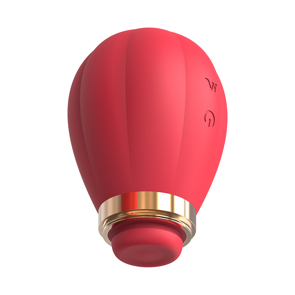 충격봉 빨기 여성용 클리토리스 안마기 섹스 용품 부부 성애용 장난감 휴대하기