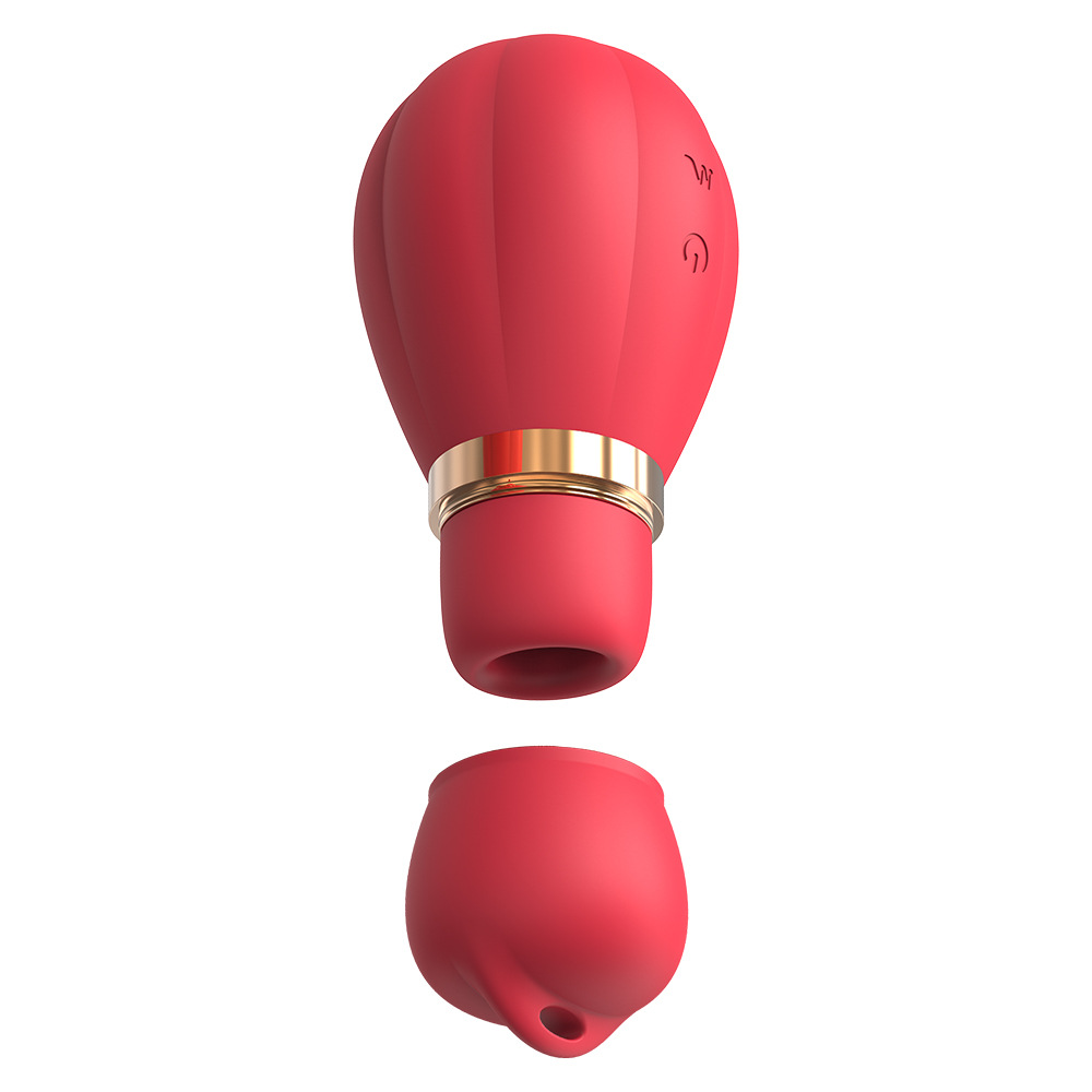 충격봉 빨기 여성용 클리토리스 안마기 섹스 용품 부부 성애용 장난감 휴대하기