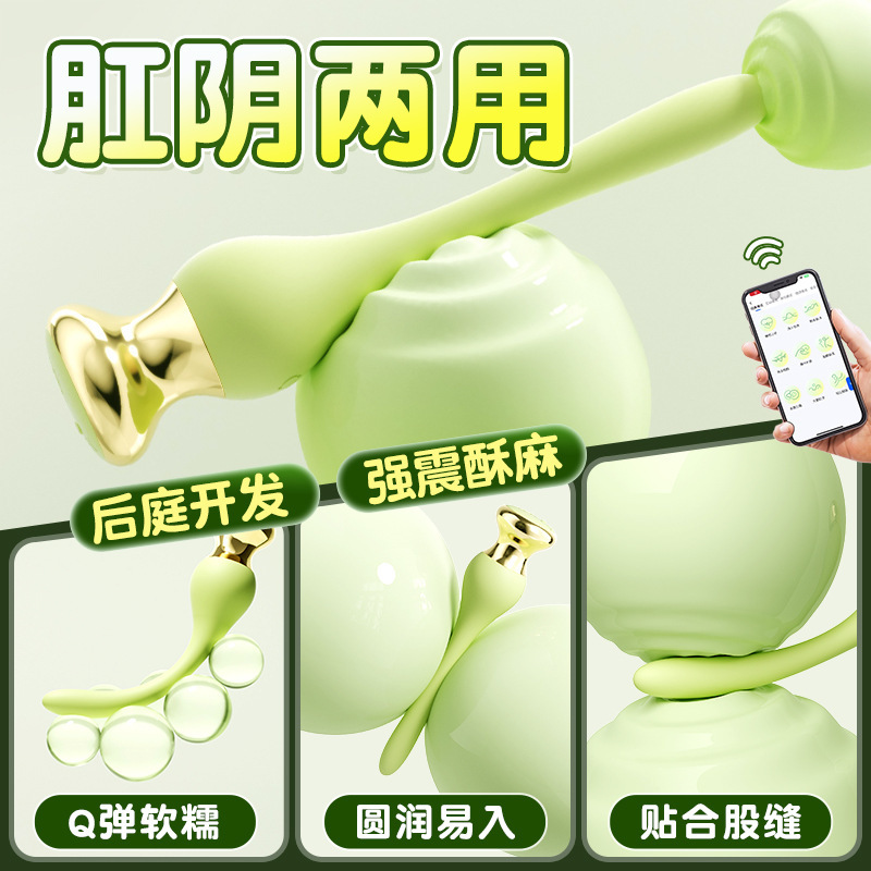 음문 항문 강진 후정 자극 남녀 공용 자위 도구