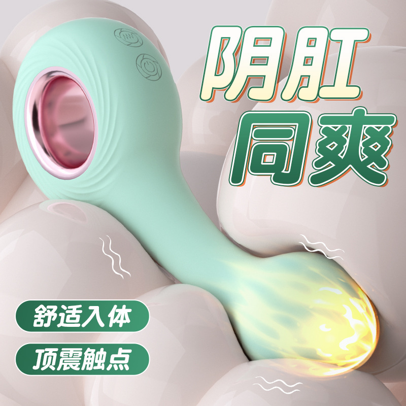 뒷뜰 안마봉 진동봉 전기 항문 마개 음문 사용 성인 섹스 용품