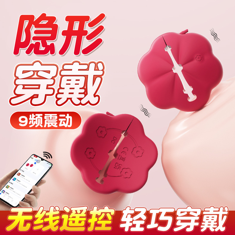 락쟈메이 app 제어 진동 녀성용 자위 섹스 토이 성인용이다