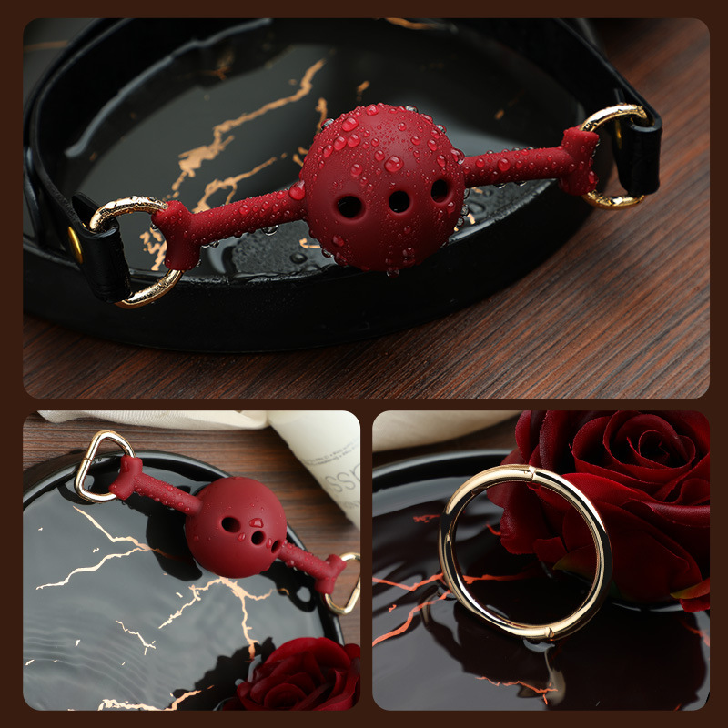 탈부착식 플러그 sm 얼터너티브 성인용 섹스 토이