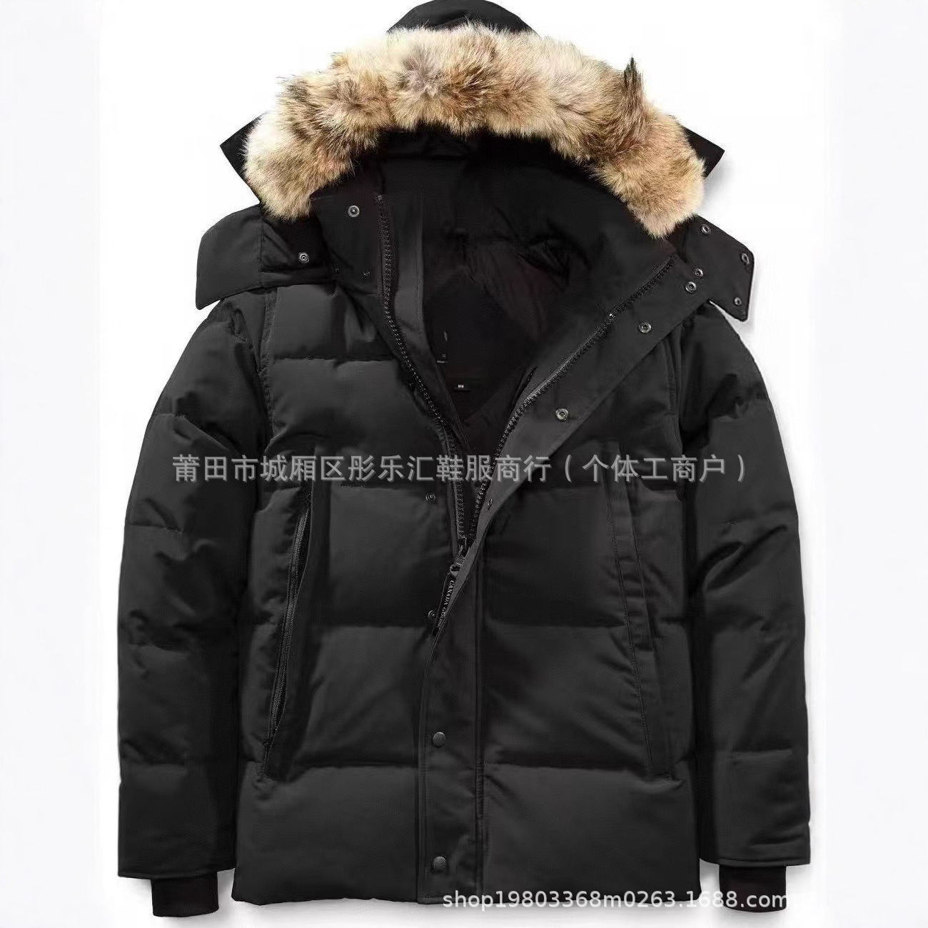 겨울 29가지 스타일의 패딩 재킷 구스다운재킷 윈dham 3808m