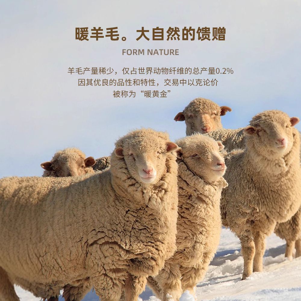 울 가을 겨울 폴라넥 남성용 단색 니트 두꺼운 짜임 니트